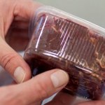 Polscy pracownicy w holenderskiej firmie podejrzanej o fałszowanie mięsa