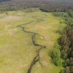 Polscy przyrodnicy mówią "dość". Wykupują bezcenne tereny na własną rękę