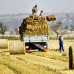 Polscy rolnicy bogacą się dzięki Unii
