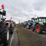 Polscy rolnicy wysypali ukraińskie zboże. Kijów zaprotestował