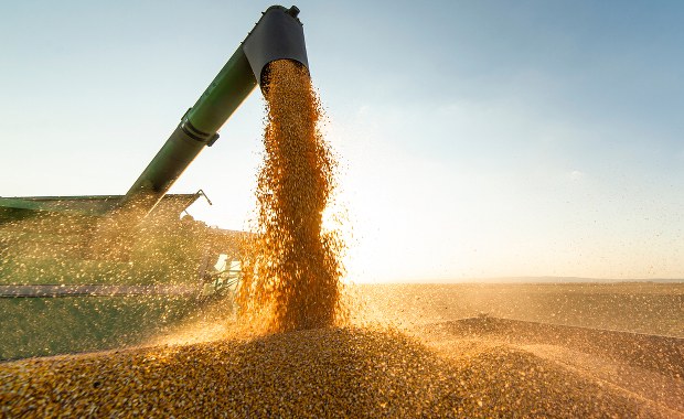 Polscy rolnicy z mocnym wsparciem. "Trzeba znaleźć rozwiązanie problemów"