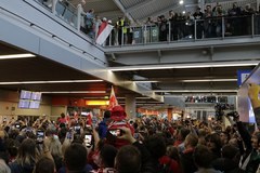 Polscy siatkarze już w kraju! Na lotnisku powitały ich tłumy kibiców