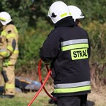 Polscy strażacy jadą do Francji. Będą się szkolić w gaszeniu pożarów lasów