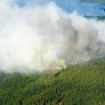 ​Polscy strażacy jadą do Szwecji. Pomogą gasić pożary lasów