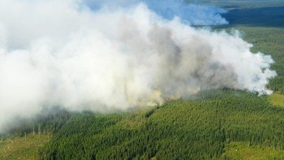 ​Polscy strażacy jadą do Szwecji. Pomogą gasić pożary lasów