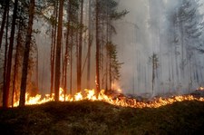 Polscy strażacy ruszyli na pomoc Szwedom