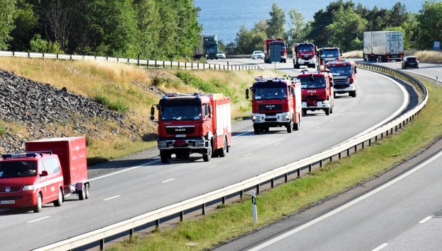 Polscy strażacy w Szwecji /Anna Hallams  /PAP/EPA