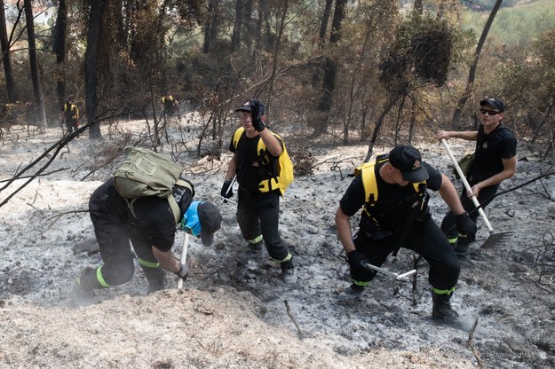 Polscy strażacy walczą z pożarami w Grecji /KG PSP /