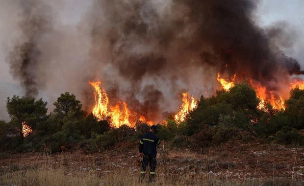 Polscy strażacy walczą z żywiołem w Grecji. "Najgorszy jest upał"