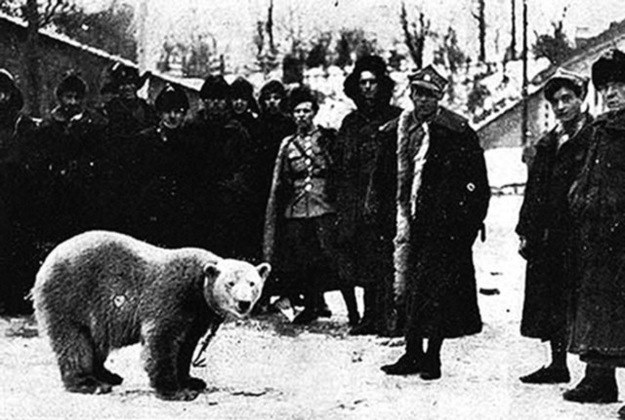 Polscy żołnierze z Baśką - niedźwiedzicą, którą kupili na północy /materiały prasowe