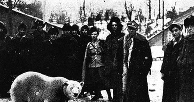Polscy żołnierze z Baśką - niedźwiedzicą, którą kupili na północy /materiały prasowe
