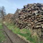 Polska: 20 mld zł na dopłaty do spalania biomasy. Są konsekwencje