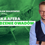 Polska afera o świerszcze nie ma sensu. Nadal za mało wiemy o owadach