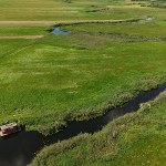 Polska Amazonia to unikat w Europie. Rzeka tworzy tu malownicze rozlewiska