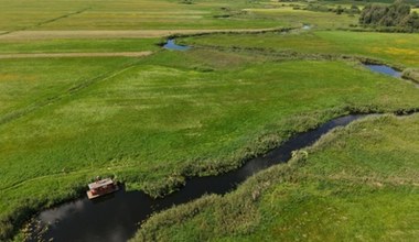 Polska Amazonia to unikat w Europie. Rzeka tworzy tu malownicze rozlewiska