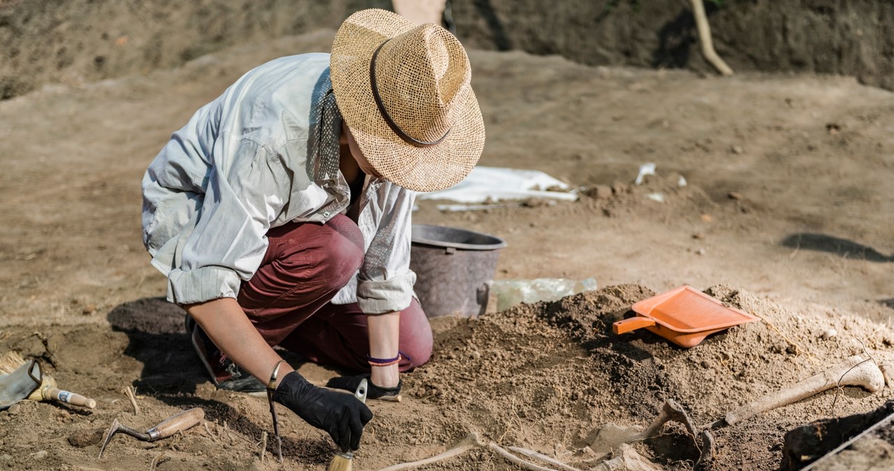 Polska archeologia może poszczycić się wieloma istotnymi odkryciami światowej rangi /123RF/PICSEL