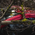 alerty Polska bombardowana ciepłem i wichurą. "Zachowajcie szczególną ostrożność"