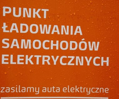 Polska elektromobilność pełznie...