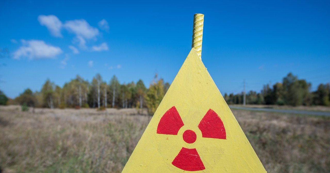 Polska elektrownia atomowa - Niemcy chcą mieć głos /123RF/PICSEL