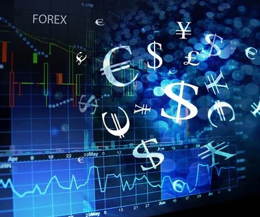 Polska gospodarka i złoty w 2020 r. Co czeka nas w 2021?