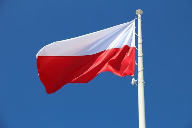 Polska gospodarka rośnie, mimo oznak recesji w Europie /&copy;123RF/PICSEL