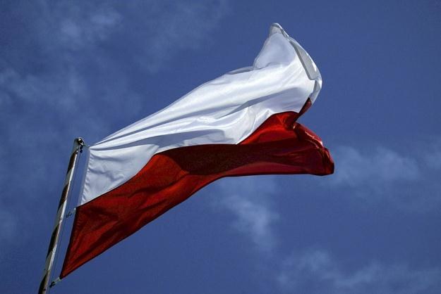 Polska gospodarka wzrośnie o 2,5 proc. w roku 2012 - głosi raport OECD /fot. Adam Jankowski /Reporter