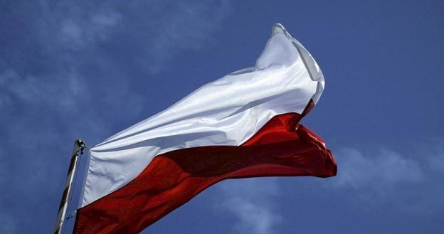 Polska gospodarka wzrośnie o 2,5 proc. w roku 2012 - głosi raport OECD /fot. Adam Jankowski /Reporter