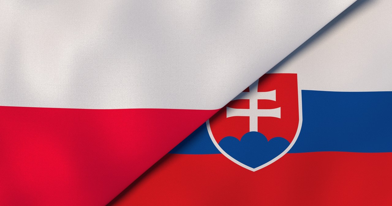 ​Polska i Słowacja podpiszą porozumienie dotyczące współpracy podatkowej /123RF/PICSEL