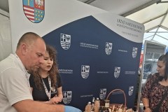 Polska impreza plenerowa w Brukseli