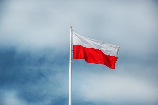 Polska jest liderem wzrostu gospodarczego w UE /&copy;123RF/PICSEL