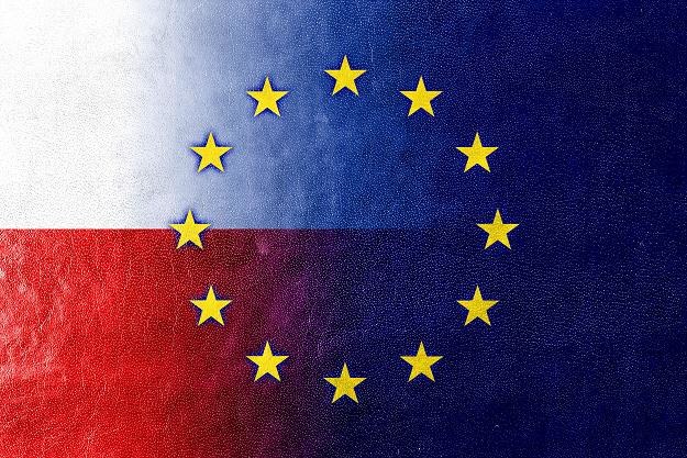 Polska jest obecnie jedną z najbardziej zrównoważonych gospodarek w UE /&copy;123RF/PICSEL