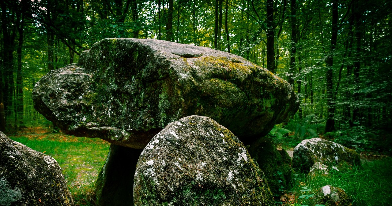 Polska jest pełna prehistorycznych stanowisk (zdjęcie poglądowe) /yggdrasill /123RF/PICSEL