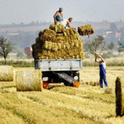 Polska jest rolniczym sercem centralnej Europy /AFP