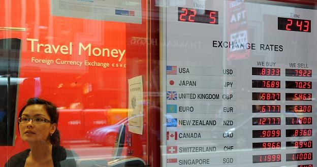 Polska jest zadowolona z płynnego kursu złotego /AFP