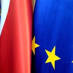 Polska kontra unijne „jastrzębie”. Rząd musi wybrać: Puszcza Białowieska lub relokacja uchodźców