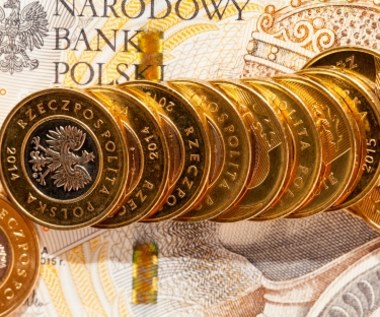 Polska krajem o największej rozpiętości dochodów? To sprzeczne nie tylko z logiką