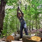 Polska kupuje drewno z nielegalnych wyrębów
