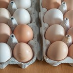 Polska liderem podwyżek cen jaj. Wzrosty znacznie wyższe od średniej w UE