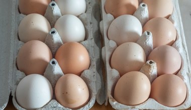 Polska liderem podwyżek cen jaj. Wzrosty znacznie wyższe od średniej w UE