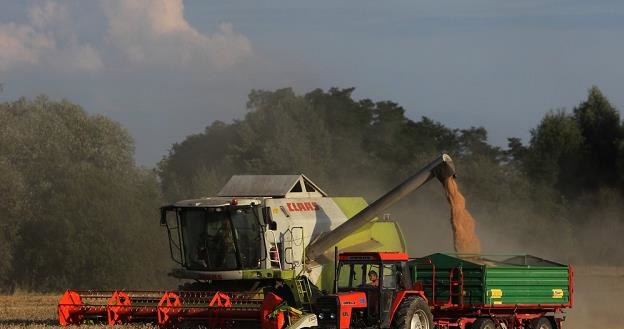 Polska liderem w wydawaniu pieniędzy. Fot. Stanisław Kowalczuk /Agencja SE/East News