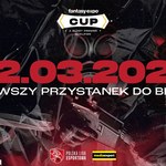 Polska Liga Esportowa drogą do turniejów BLAST