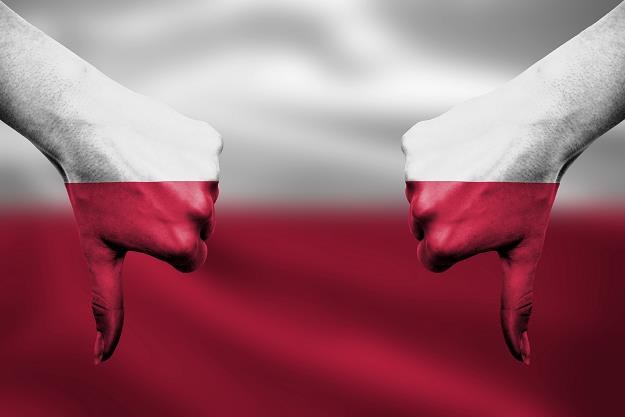Polska ma jeden z najlepszych wyników w Europie! /Newseria Inwestor