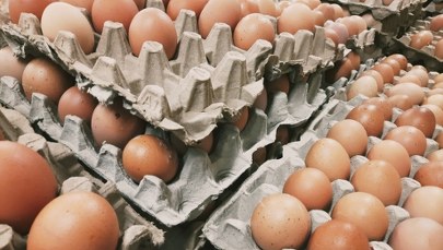 Polska może spać spokojnie. Jaj nie zabraknie