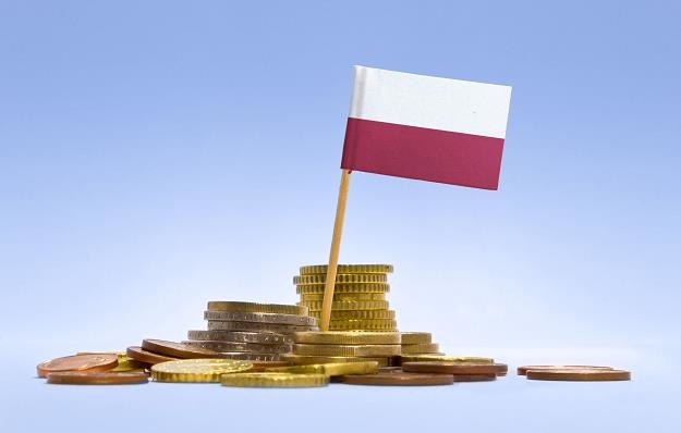 Polska musi nadal reformować gospodarkę /