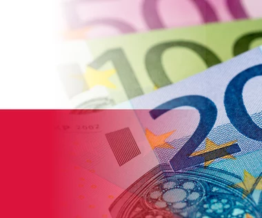 Polska na drodze do strefy euro. Eksperci: Brakuje nam poważnej debaty publicznej w tej sprawie