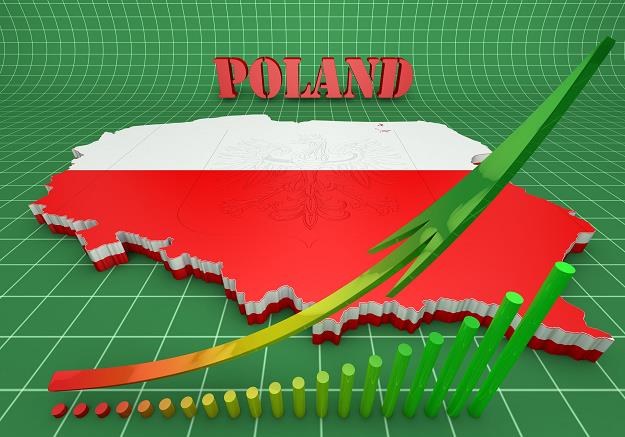 Polska na drugim miejscu w rankingu atrakcyjności inwestycyjnej /&copy;123RF/PICSEL