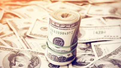 Polska na potęgę zadłuża się w dolarach. Niemal najszybciej na świecie