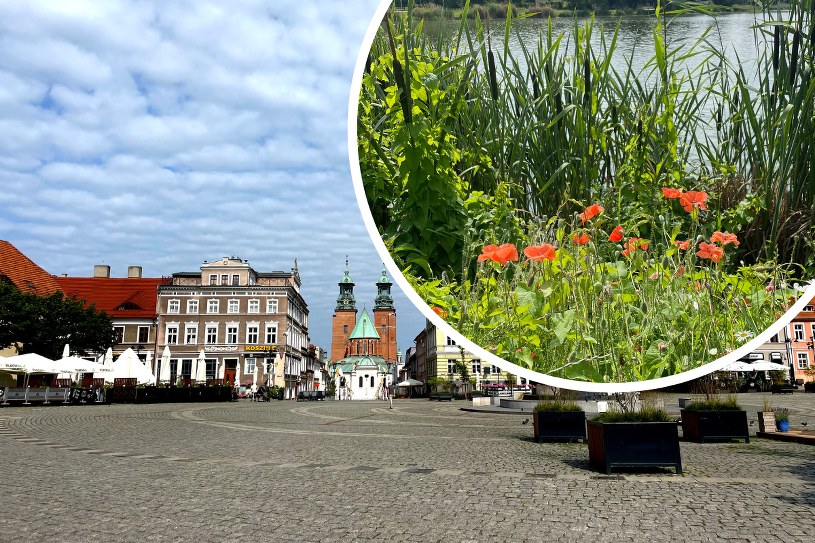 Polska na własne oczy: Gniezno to nie tylko katedra. Odkrywamy miasto królów i królików 