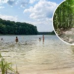 Polska na własne oczy: lato w Wielkopolskim Parku Narodowym. Czyste jeziora, bujne lasy i masa atrakcji