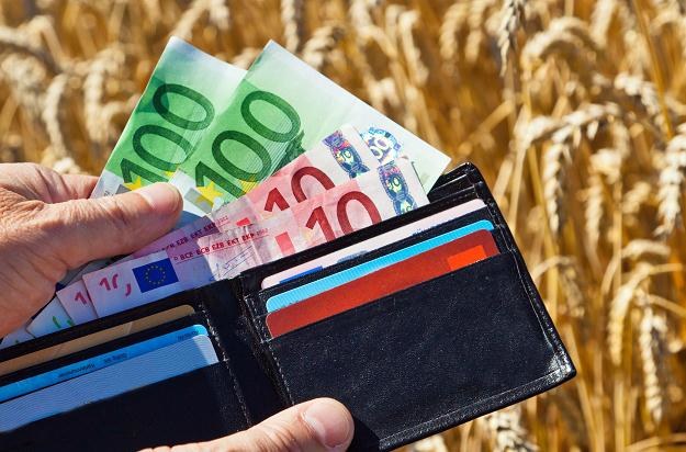 Polska nie otrzyma refundacji z unijnych funduszy polityki rolnej w wysokości 34,4 mln euro /&copy;123RF/PICSEL